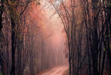 MOBALL 完全指南及其如何扩展 Mobox NFT 生态