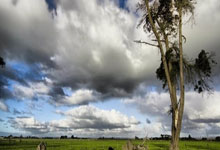 技术面预警:Cardano 价格或迎来新低