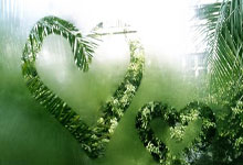 加密货币ETF势头强劲：XRP与Solana吸引大量资金流入，Bitcoin增速放缓